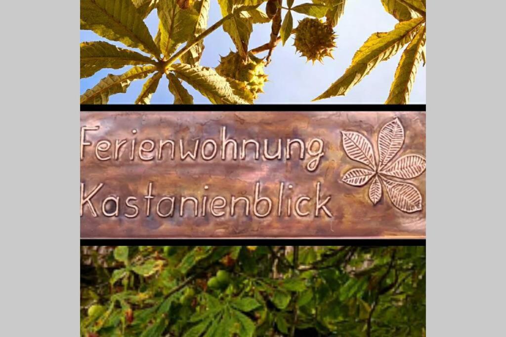 Kastanienblick Apartment Sankt Andreasberg Ngoại thất bức ảnh