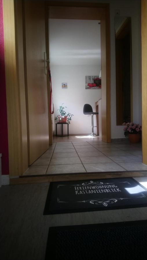 Kastanienblick Apartment Sankt Andreasberg Ngoại thất bức ảnh